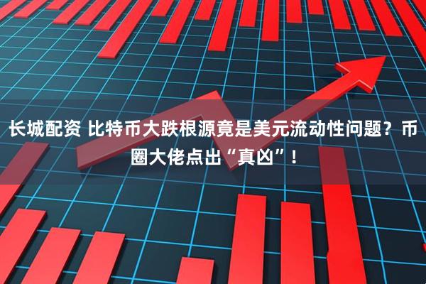 长城配资 比特币大跌根源竟是美元流动性问题？币圈大佬点出“真凶”！